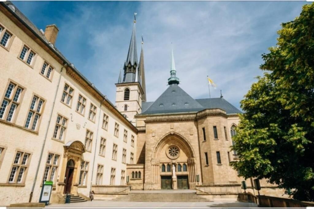 Large Family Retro Flat In City Center- Large Terrace & Garden View, Free Parking Luxembourg By Eksteriør billede